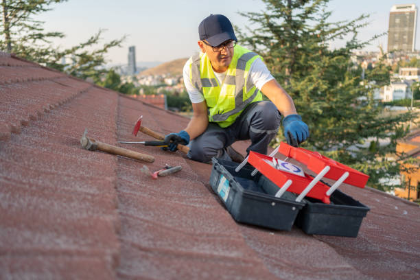 Best Stucco Siding  in Erie, PA